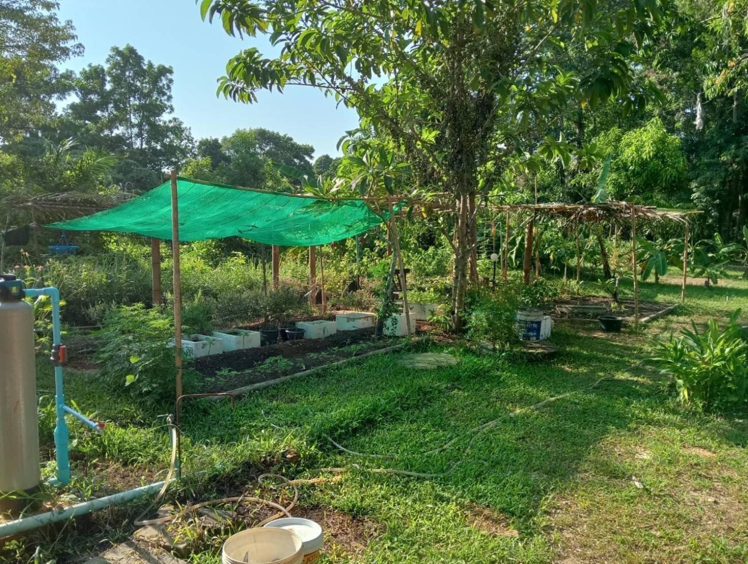 The River Retreat เกาะหมาก ภายนอก รูปภาพ